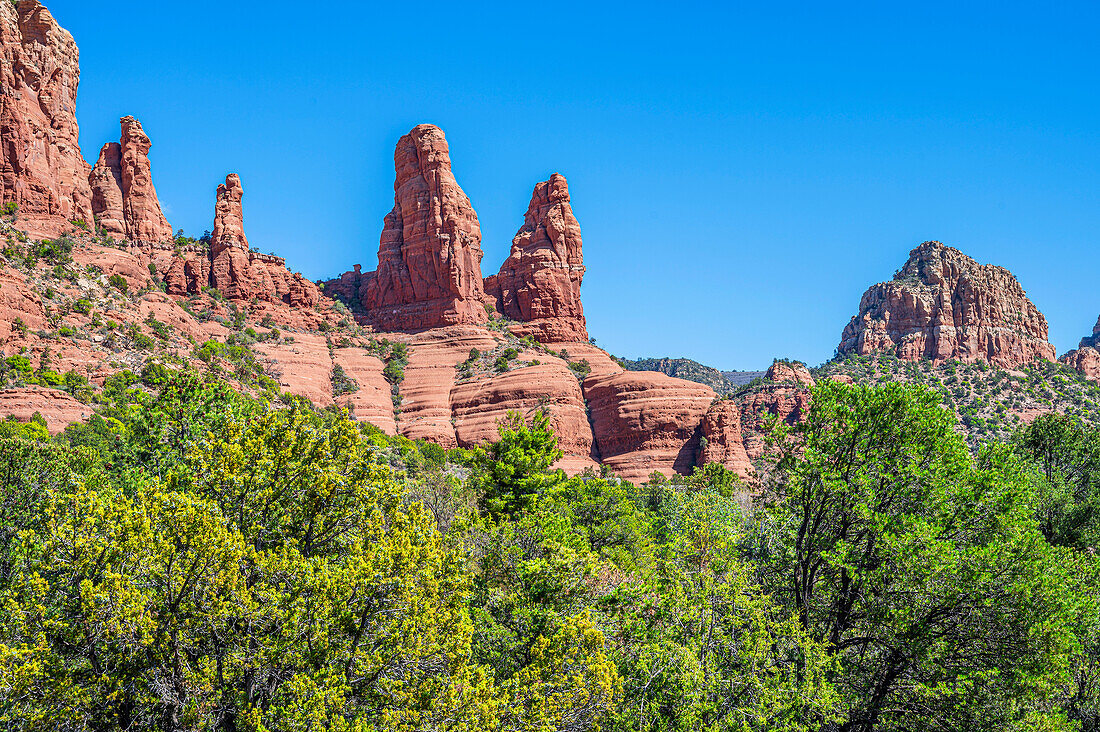 Nonnenfelsen 'The Nuns' am Mammuth Rock, Kaibab National Forest, Sedona, Arizona, USA, Vereinigte Staaten