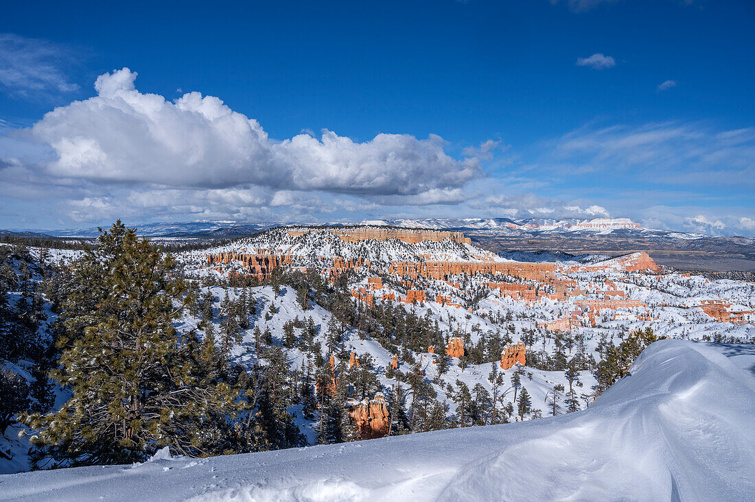 Blick in den Bryce Canyon im Winter, Bryce Canyon Nationalpark, Utah, USA, Vereinigte Staaten