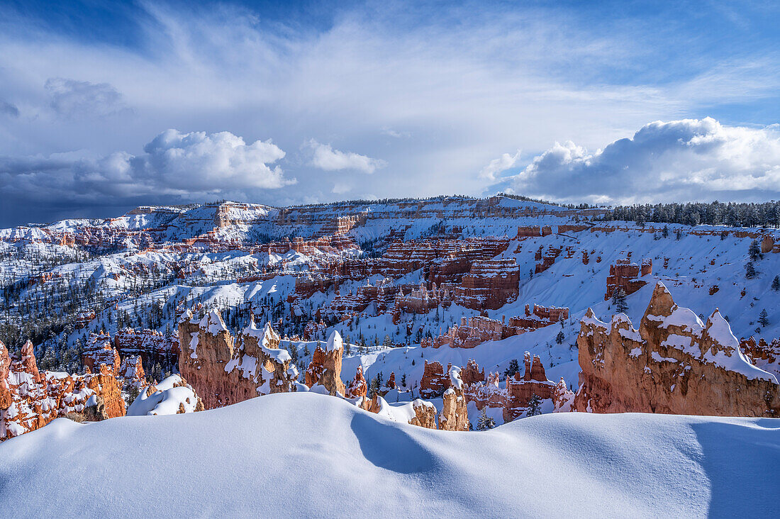 Blick in den Bryce Canyon im Winter, Bryce Canyon Nationalpark, Utah, USA, Vereinigte Staaten