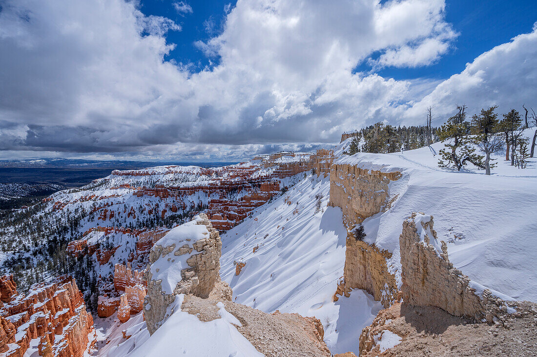 Blick in den Bryce Canyon im Winter, Bryce Canyon Nationalpark, Utah, USA, Vereinigte Staaten