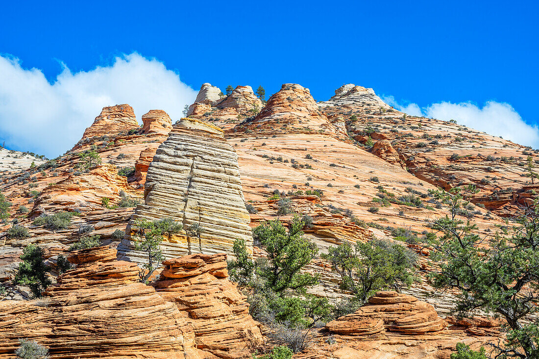  Canyon Overlook Trail, Zion National Park, Utah, USA, United States 