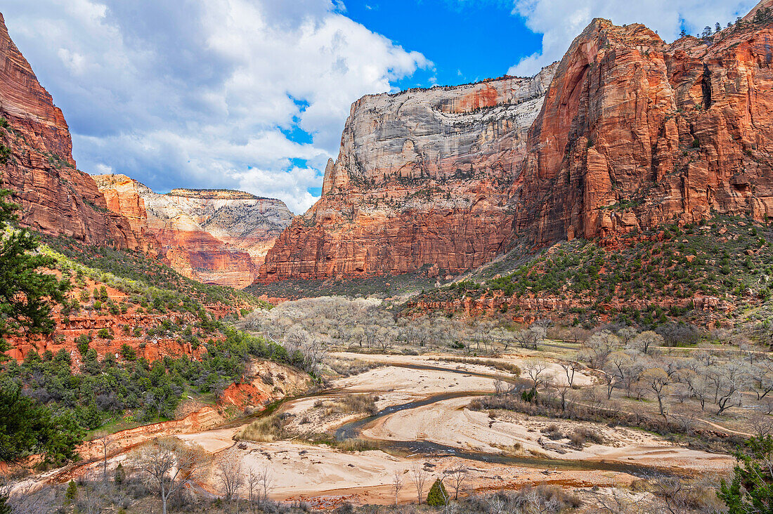  Virgin River Valley, Zion National Park, Utah, USA 