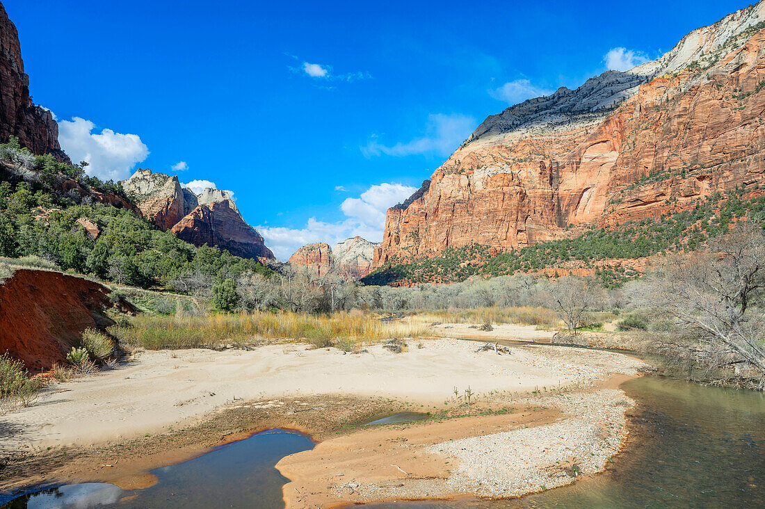  Virgin River Valley, Zion National Park, Utah, USA 