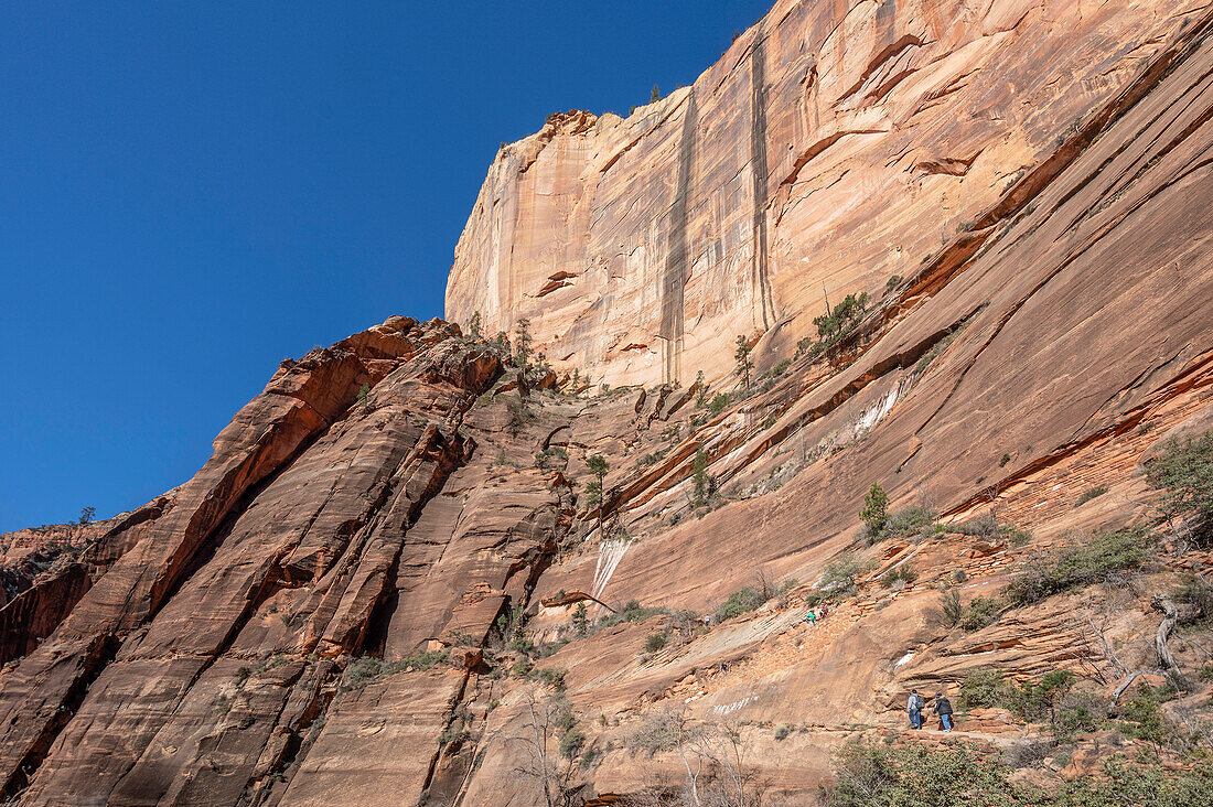  Angels Landing Trail, Zion National Park, Utah, USA, United States 