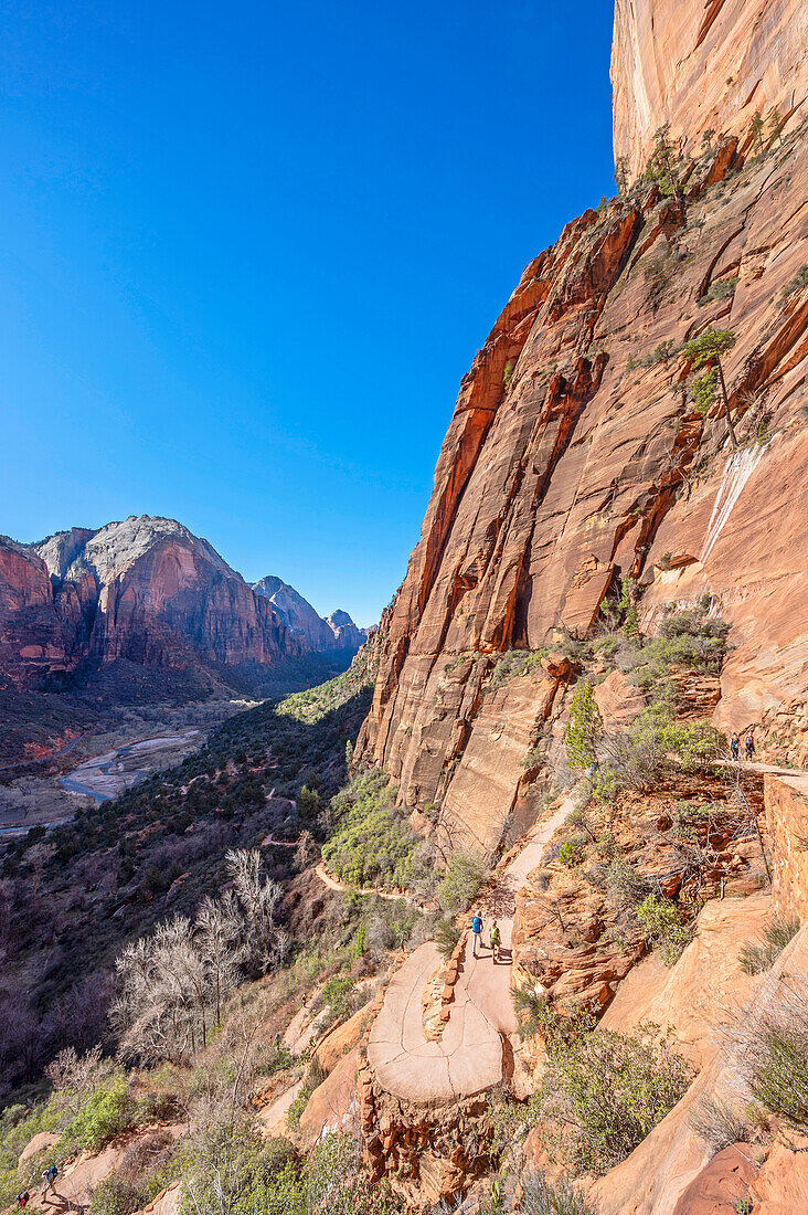  Angels Landing Trail, Zion National Park, Utah, USA, United States 