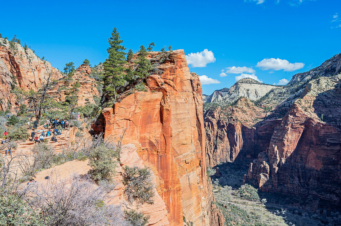  View from Scout Lookout on Angels Landing Trail, Zion National Park, Utah, USA, United States 