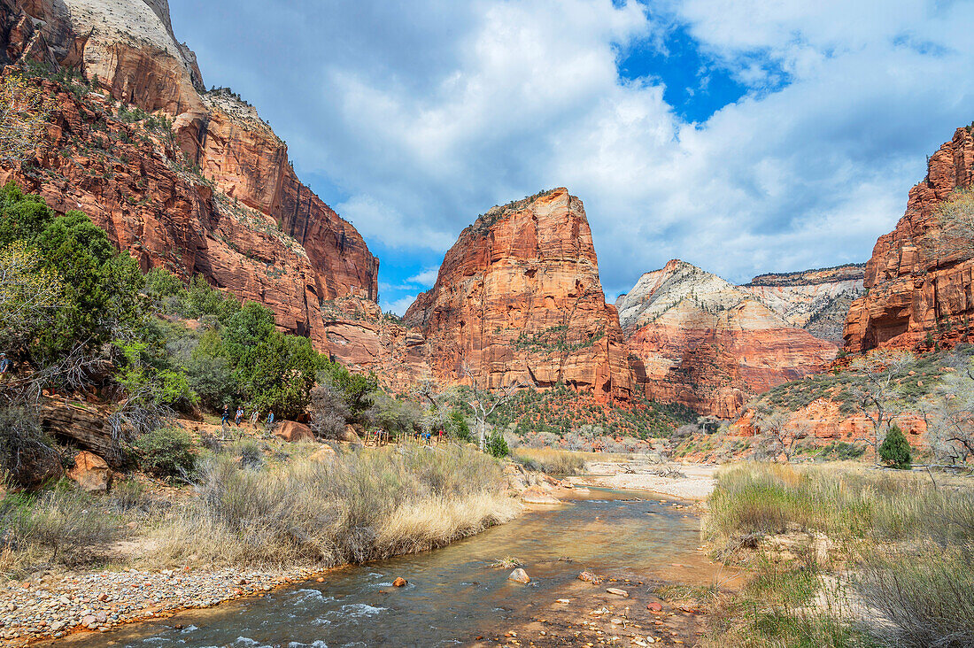 Felsformation 'Angels landing' am Virgin River im Zion Canyon, Zion Nationalpark, Utah, USA, Vereinigte Staaten