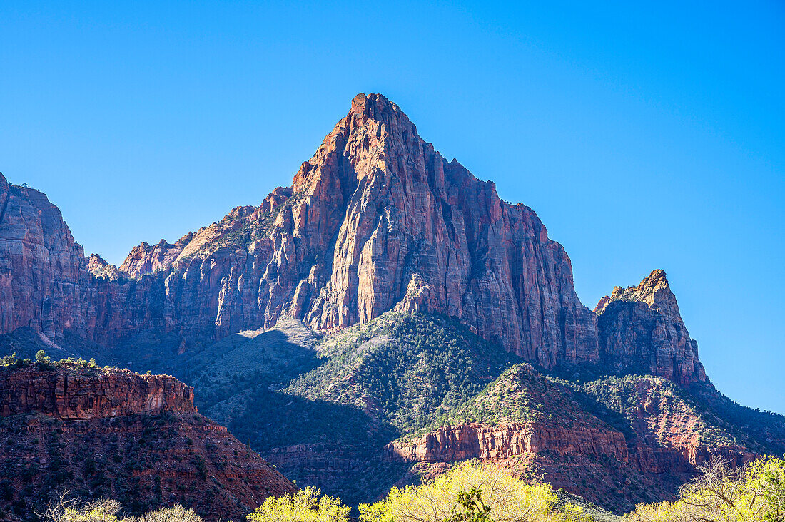  Watchman Mountain, Zion National Park, Utah, USA, United States 