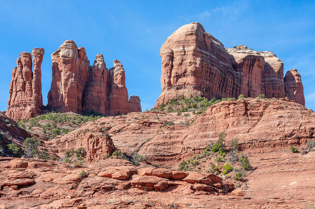 Blick auf den Cathedral Rock vom Templeton Trail, Coconino National Forest, Sedona, Arizona, USA, Vereinigte Staaten