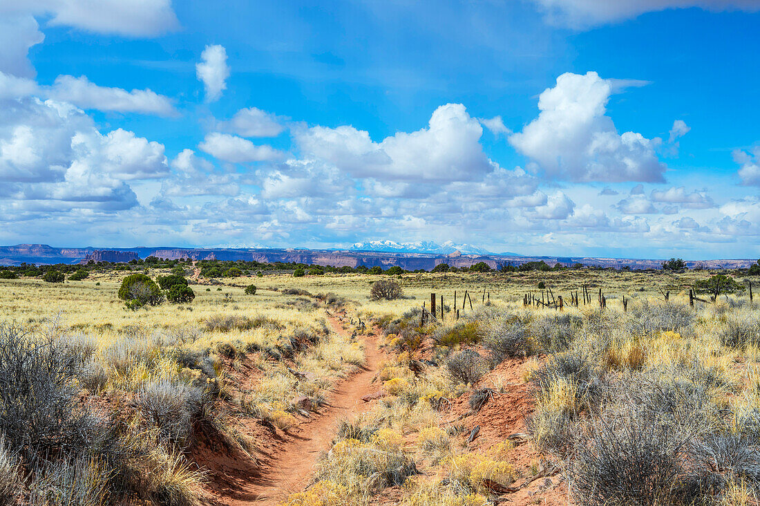  Murphy Point Trail, Canyonlands National Park, Moab, Utah, USA, United States 