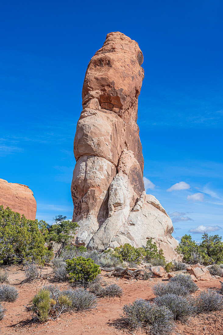  Dark Angel, Devils Garden Trail, Arches National Park, Moab, Utah, USA, United States 