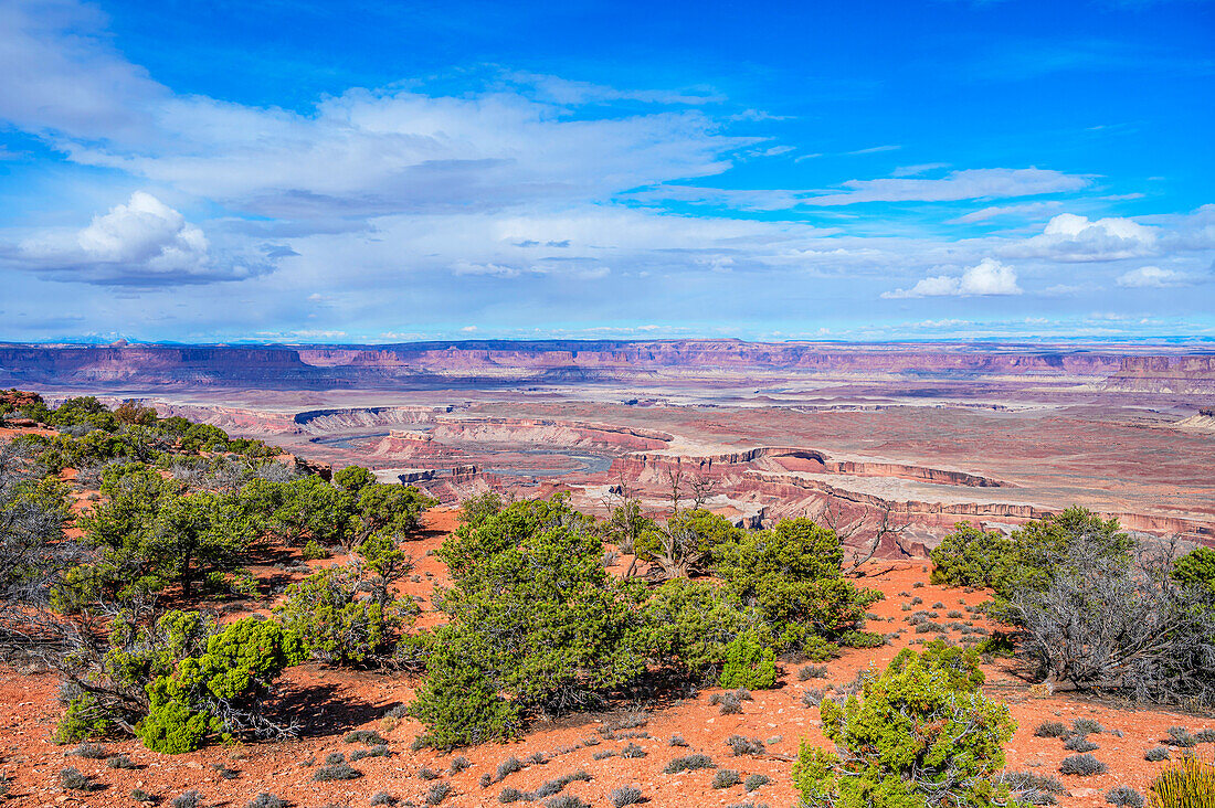  Murphy Point Trail, Canyonlands National Park, Moab, Utah, USA, United States 