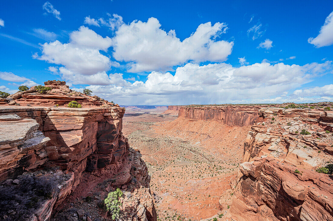  View from Orange Cliffs Overlook, Canyonlands National Park, Moab, Utah, USA, United States 