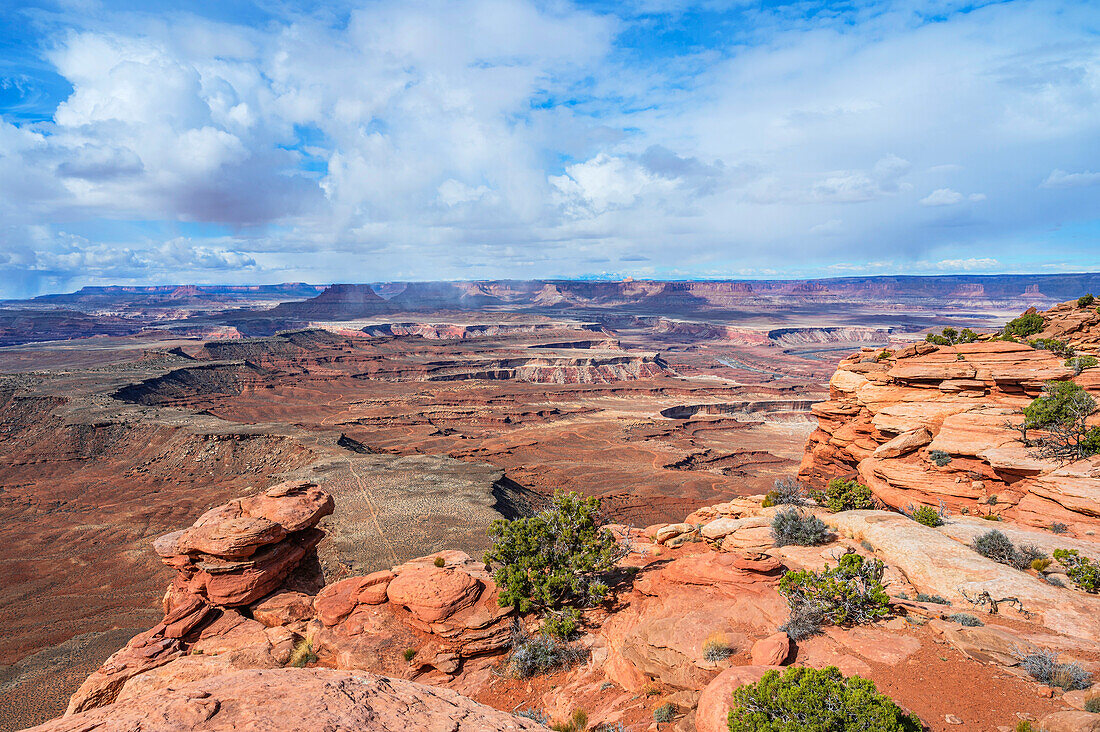 Blick vom Murphy Point Overlook, Canyonlands Nationalpark, Moab, Utah, USA, Vereinigte Staaten