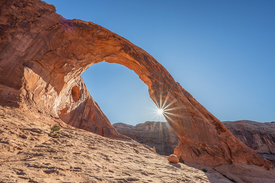 Felsenbogen Corona Arch bei Sonnenaufgang, Arches National Park, Canyonlands, Moab, Utah, USA, Vereinigte Staaten