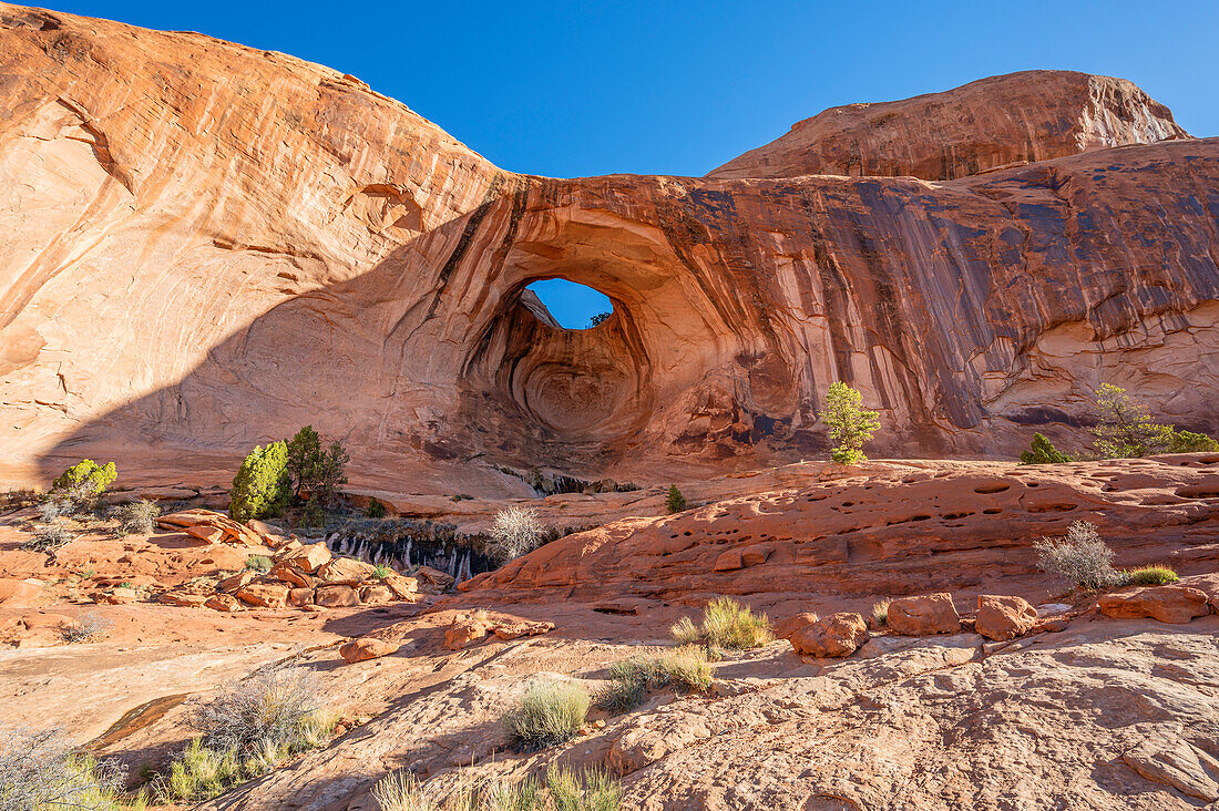  Bowtie Arch, Moab, Utah, USA, United States 