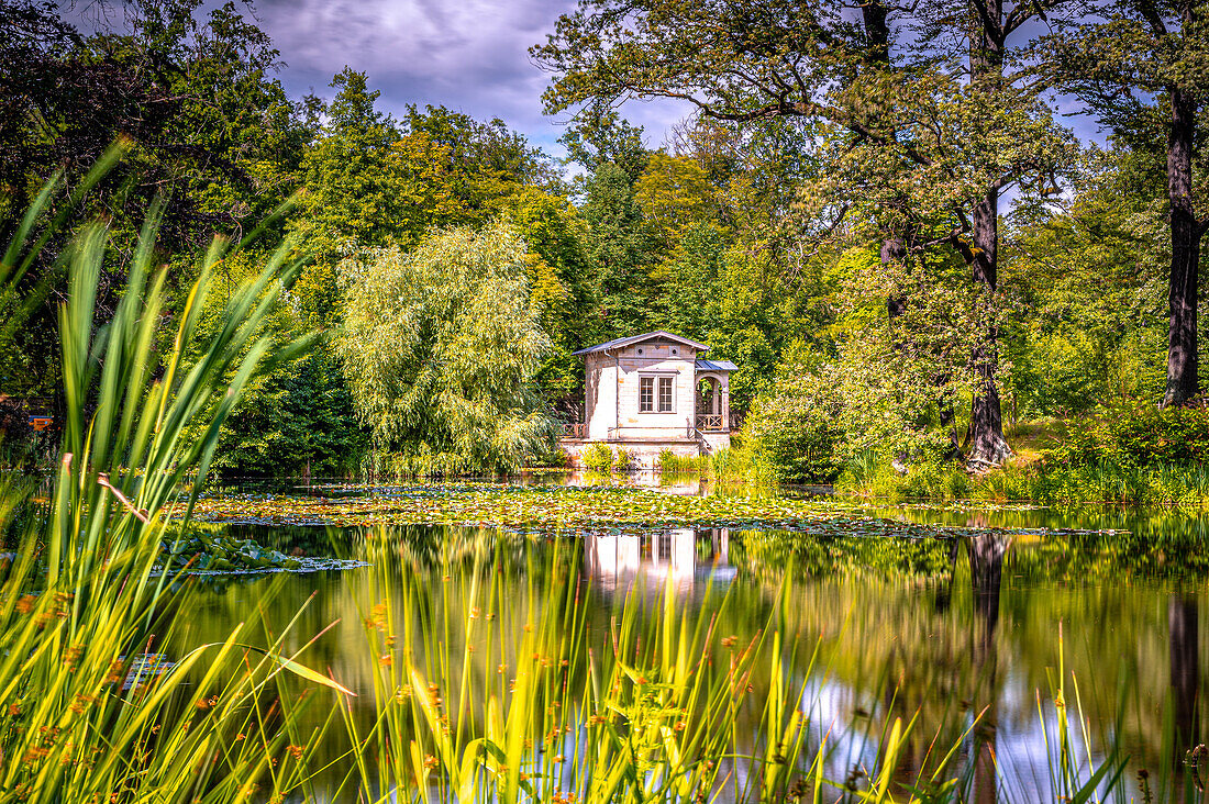  The Albrechtsbergteich in Dresden in summer, Dresden, Saxony, Germany 