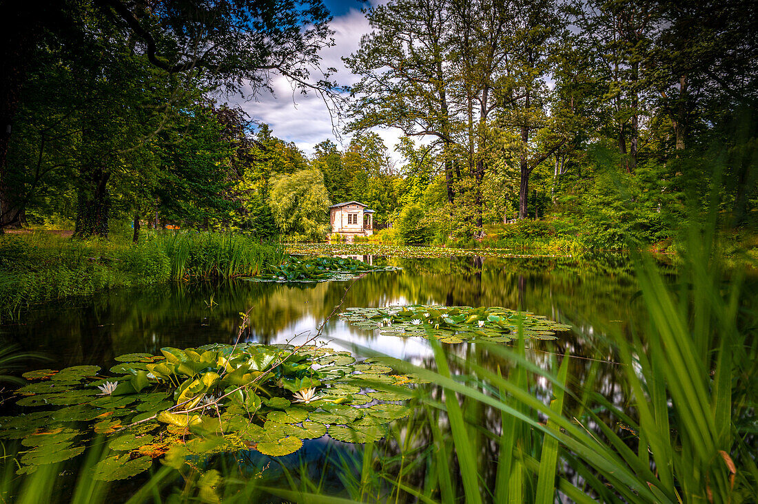  The Albrechtsbergteich in Dresden in summer, Dresden, Saxony, Germany 