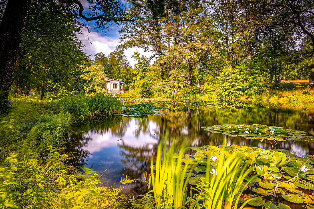  The Albrechtsbergteich in Dresden in summer, Dresden, Saxony, Germany 