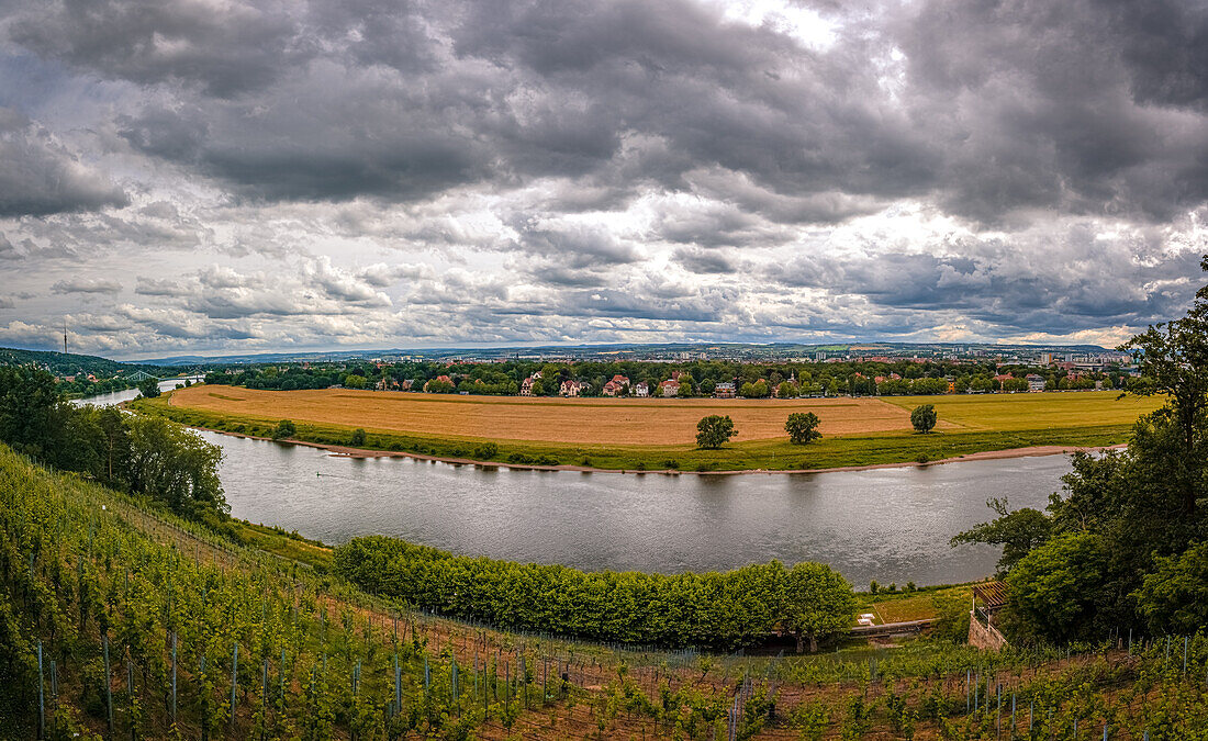  View over the Elbe with the city of Dresden in the background, Dresden, Saxony, Germany 