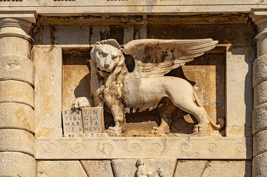 Markuslöwe am Landtor - Porta Terraferma in Zadar, Kroatien, Europa