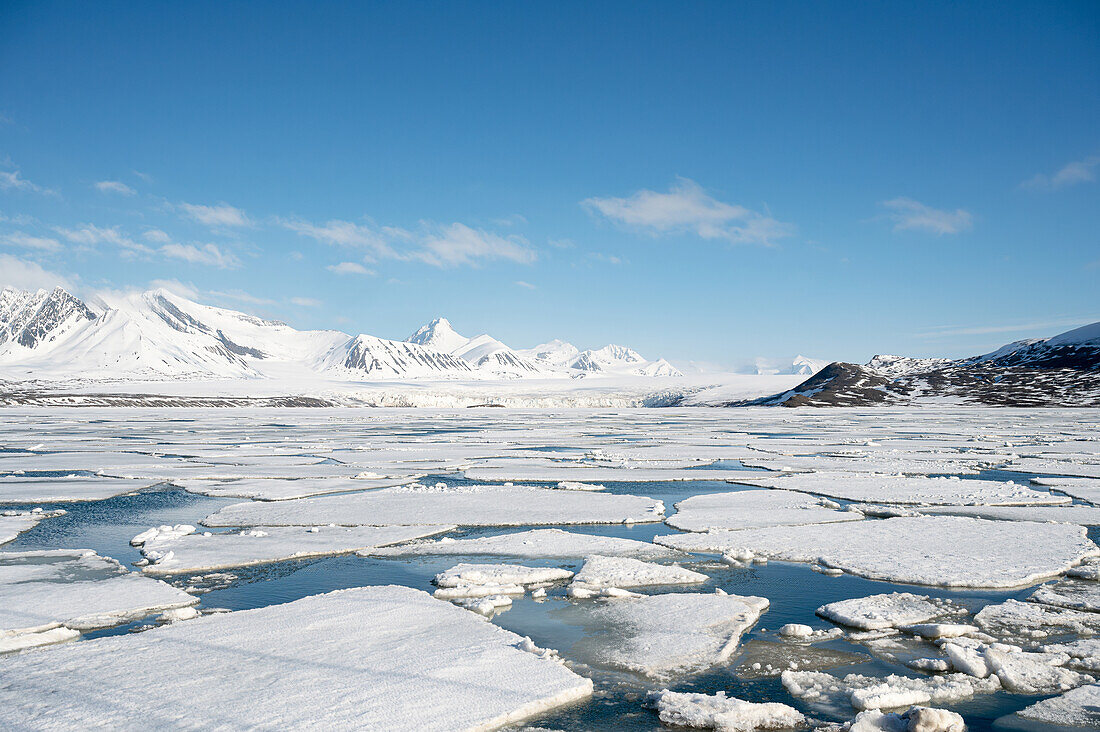  View over the drift ice to the Fridjorfhamna Glacier, Spitsbergen, Svalbard, Norway, Arctic 