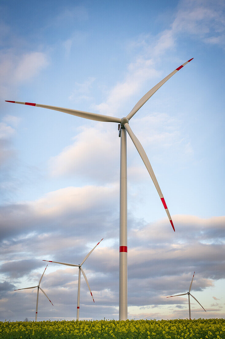 View of a Vestas wind turbine and PV area surrounded by a rapeseed field, Ostholstein, Schleswig-Holstein, Germany