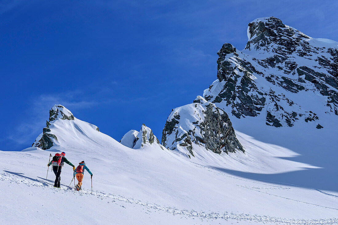 Zwei Personen auf Skitour steigen zur Sattelspitze auf, Sattelspitze, Ahrntal, Naturpark Rieserferner-Ahrn, Zillertaler Alpen, Südtirol, Italien