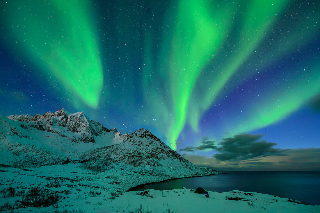  Northern lights over Mefjord, Mefjordvaer, Senja, Troms, Norway 