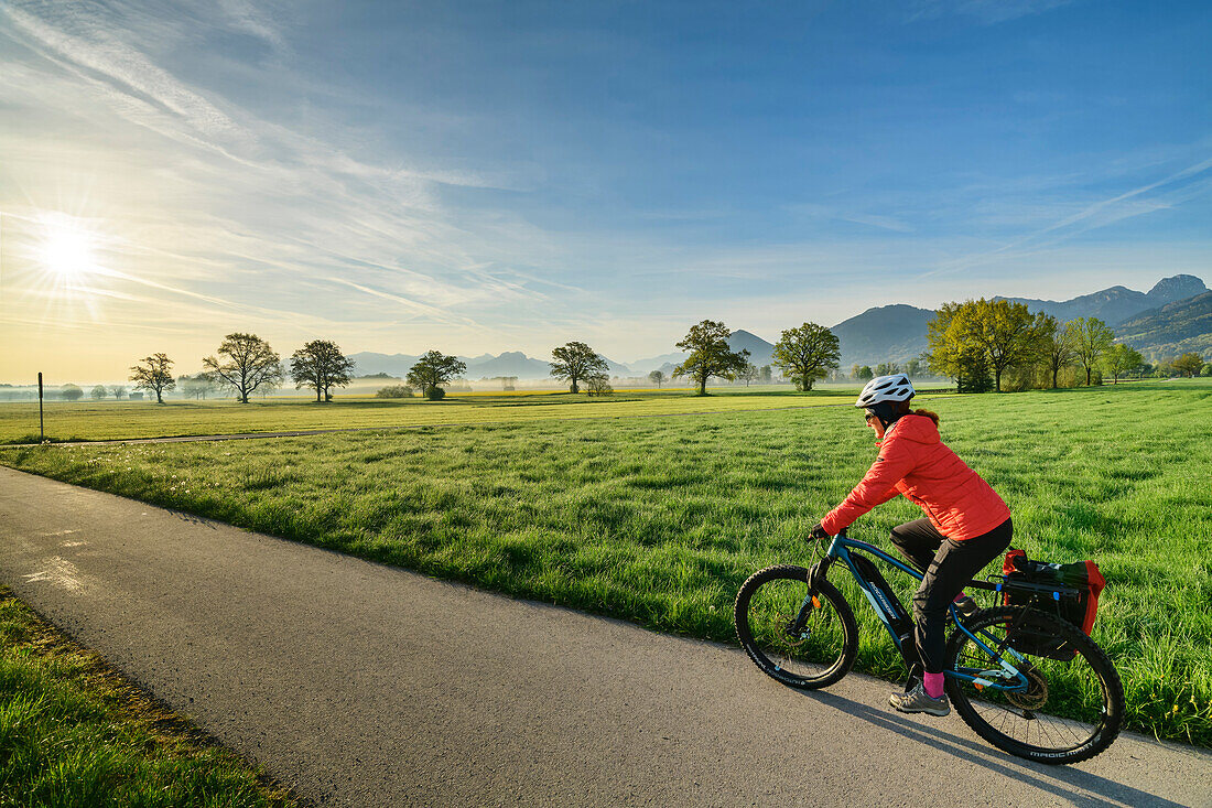 Frau fährt auf dem Bodensee-Königssee-Radweg durchs Feilnbacher Moor, Bad Feilnbach, Mangfallgebirge, Oberbayern, Bayern, Deutschland