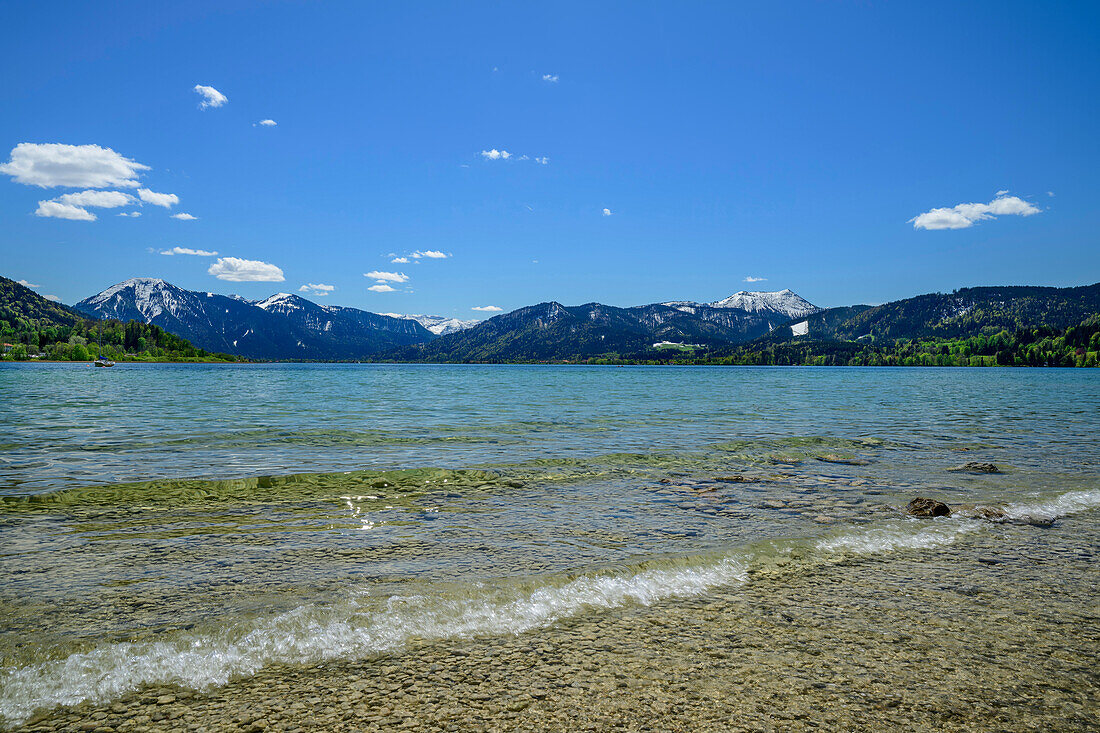  Tegernsee with Bavarian Alps in the background, Gmund, Lake Constance-Königssee cycle path, Upper Bavaria, Bavaria, Germany 