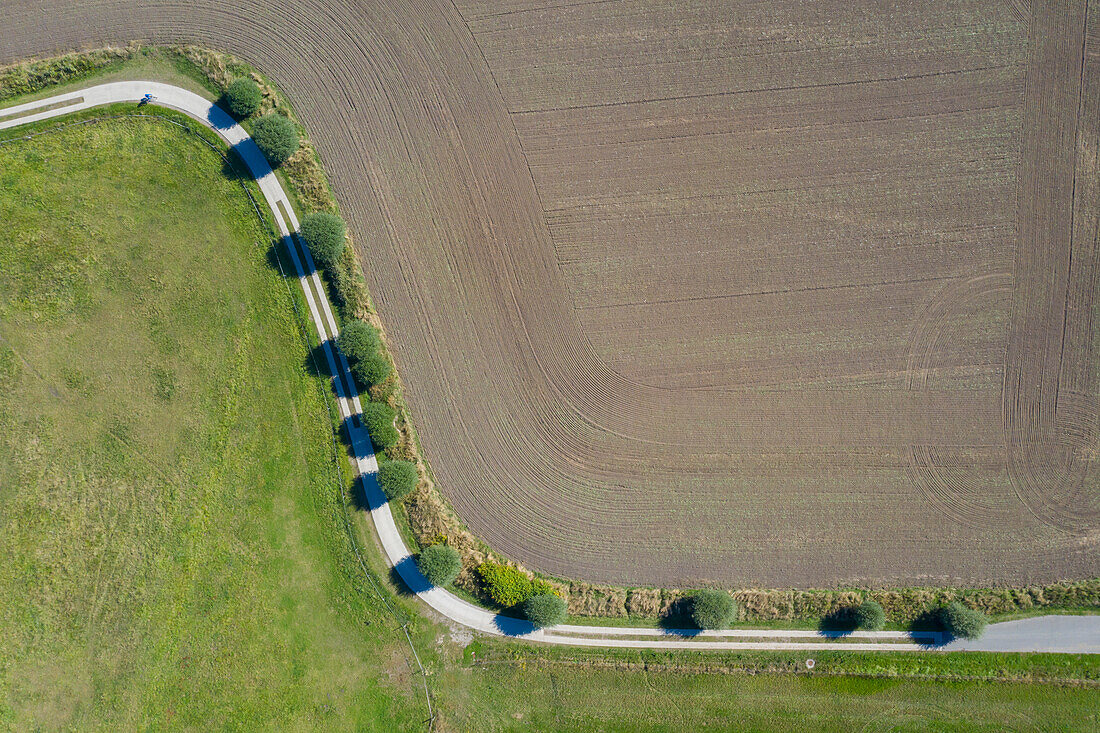 Kurvige Straße mit Weiden, Insel Poel, Mecklenburg-Vorpommern, Deutschland