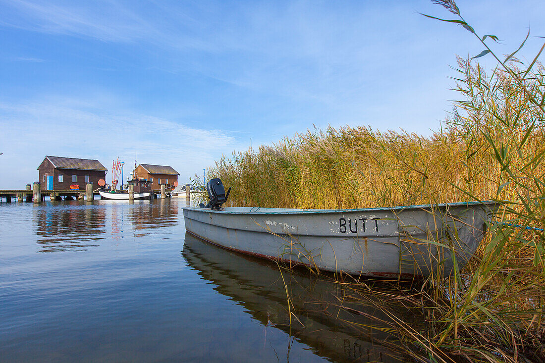 Hafen Gager, Halbinsel Mönchsgut, Insel Rügen, Mecklenburg-Vorpommern, Deutschland