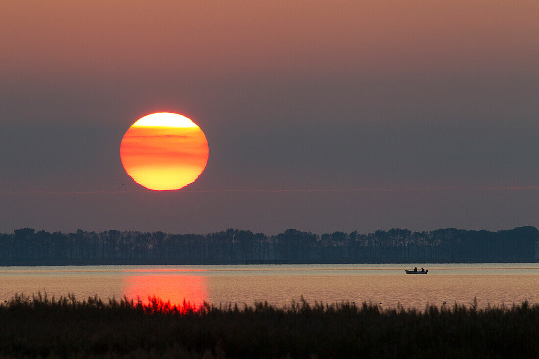 Anglerboot, Sonnenuntergang, Barther Bodden, Nationalpark Vorpommersche Boddenlandschaft, Mecklenburg-Vorpommern, Deutschland