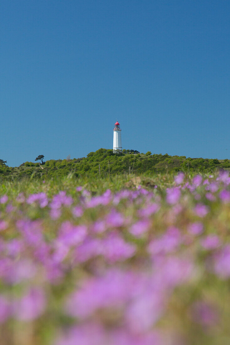 Leuchtturm Dornbusch, Hiddensee, Nationalpark Vorpommersche Boddenlandschaft, Mecklenburg-Vorpommern, Deutschland