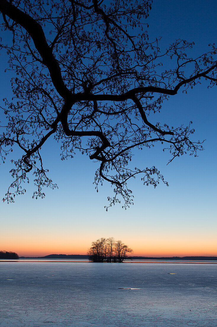  Evening atmosphere at the Grosser Ploener See, Schleswig-Holstein, Germany 