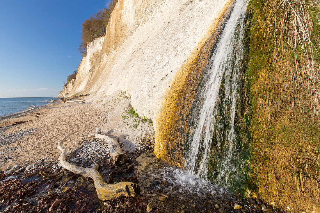 Kieler Bach an der Kreideküste, Nationalpark Jasmund, Insel Rügen, Mecklenburg-Vorpommern, Deutschland