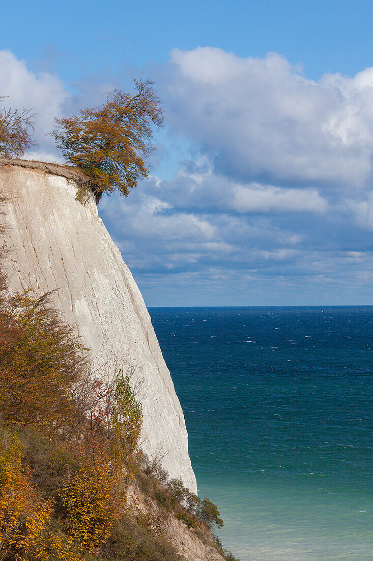 Kreideküste, Nationalpark Jasmund, Insel Rügen, Mecklenburg-Vorpommern, Deutschland