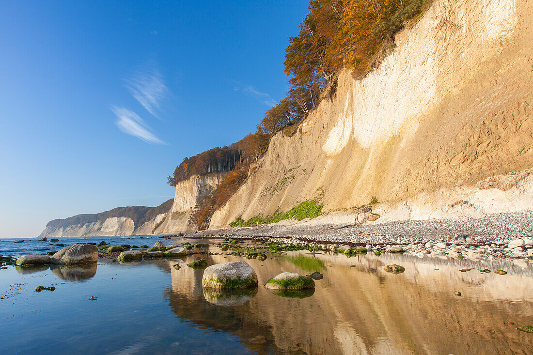 Kreideküste, Nationalpark Jasmund, Insel Rügen, Mecklenburg-Vorpommern, Deutschland