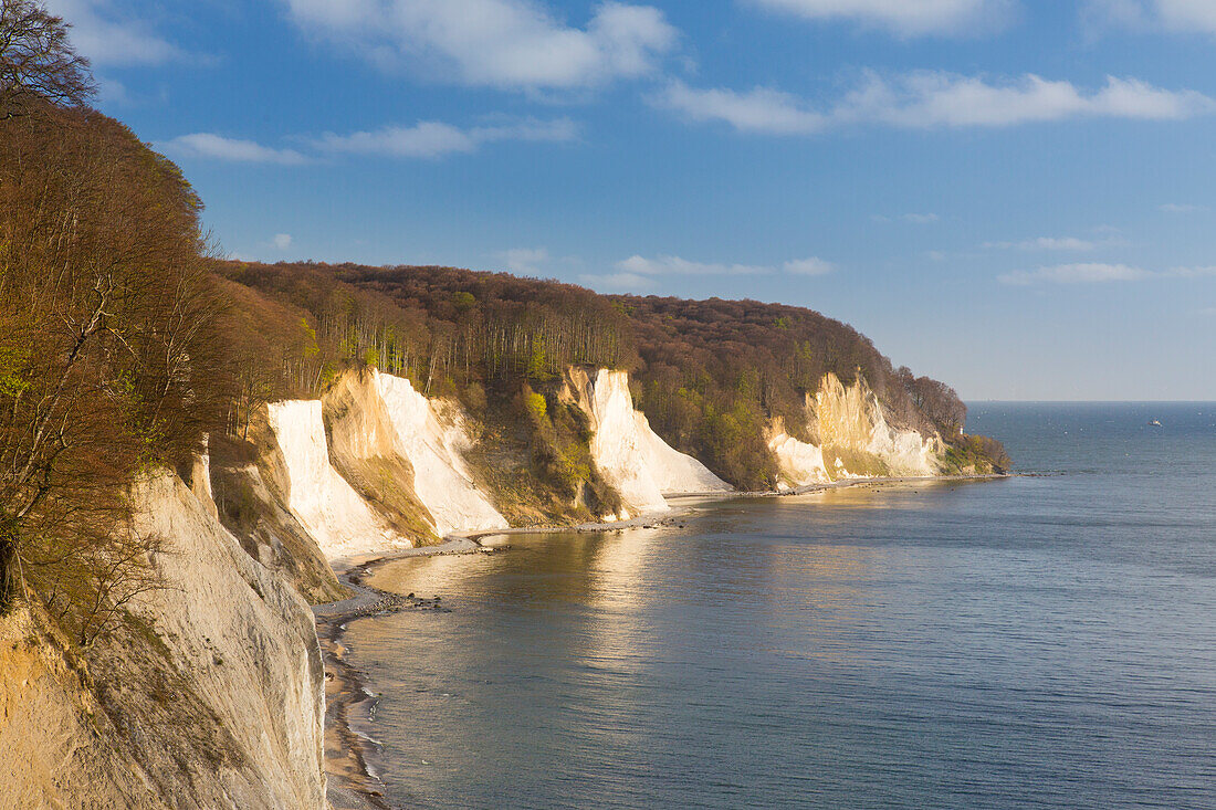 Kreideküste, Nationalpark Jasmund, Insel Rügen, Mecklenburg-Vorpommern, Deutschland