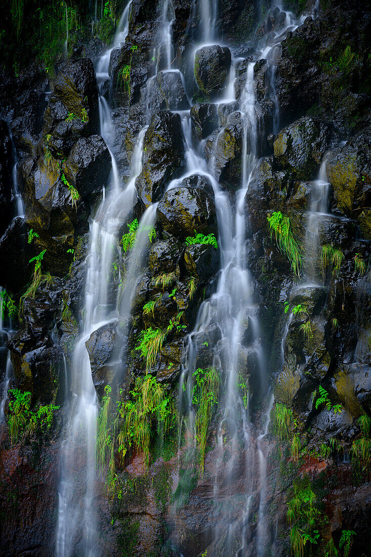 Risco Wasserfall, Madeira, Portugal