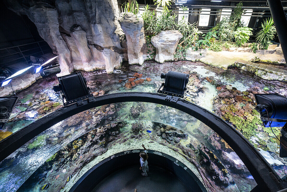 Little turist visiting Genova acquarium, Liguria, Italy