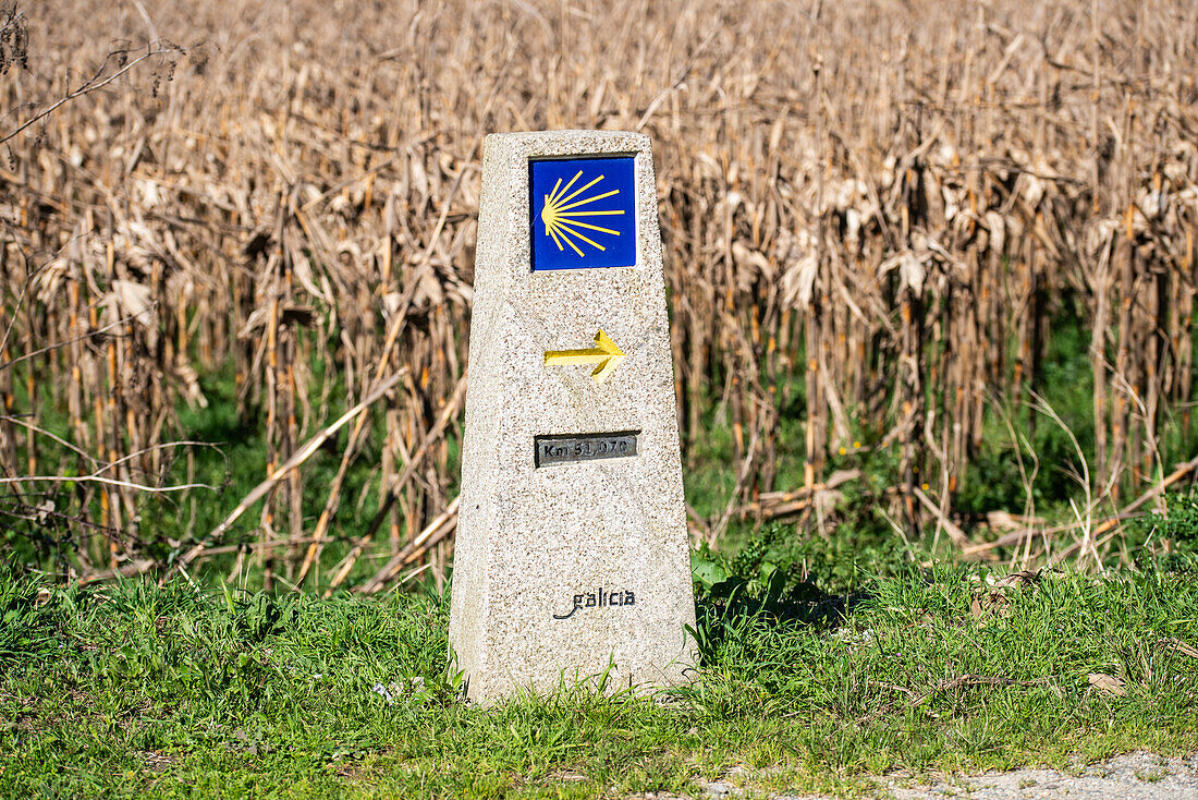 Wegweiser Jakobsweg Santiago de Compostela, Spanien