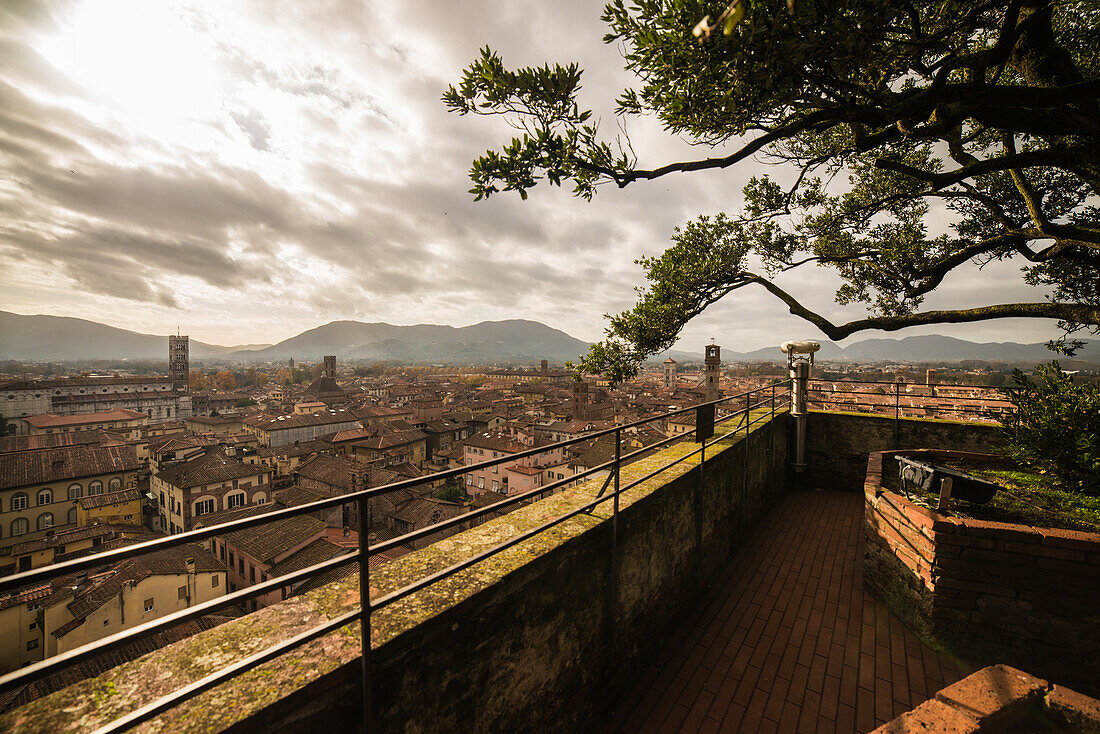 City center seen from above, Lucca medioeval city, Tuscany, Italy