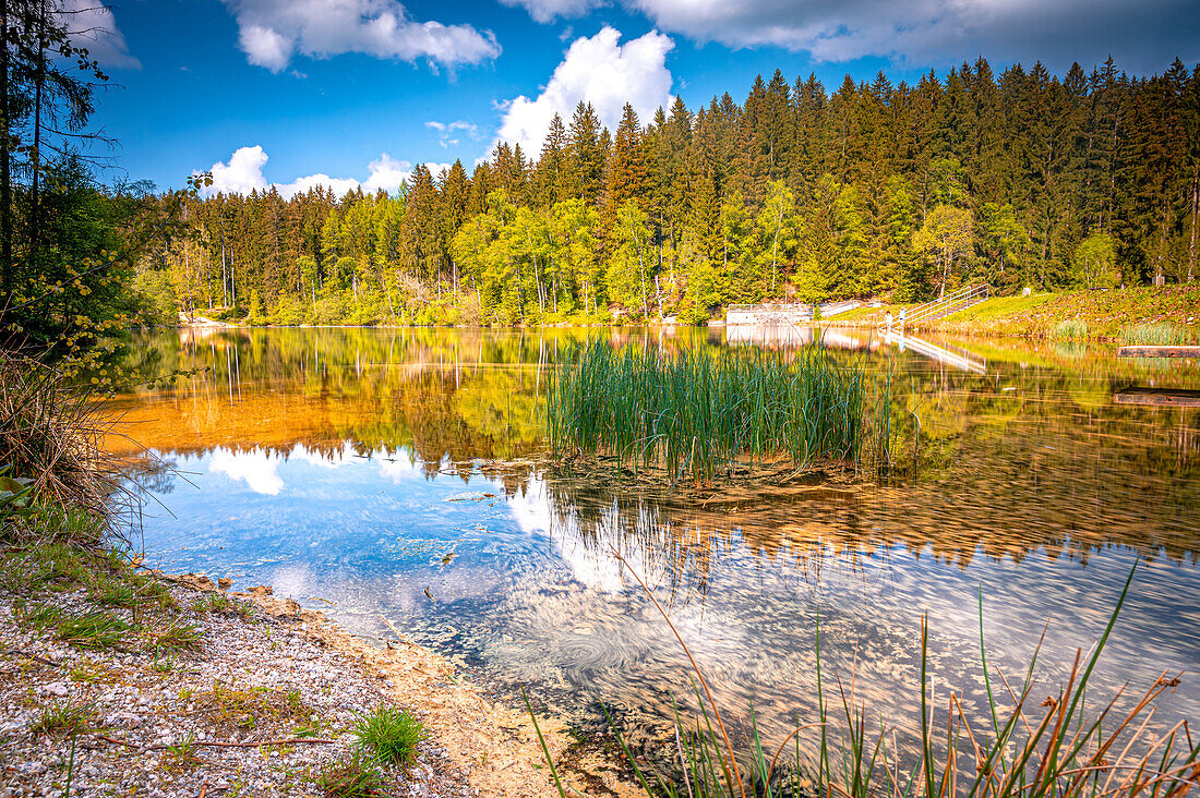 Kleiner Stausee zwischen Schönheide und Carolagrün im westlichen Erzgebirge, Schönheide, Sachsen, Deutschland