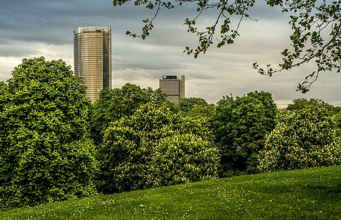  High-rise building &quot;Langer Eugen&quot; and Post Tower, seen from Rheinauenpark, Bonn, NRW, Germany 