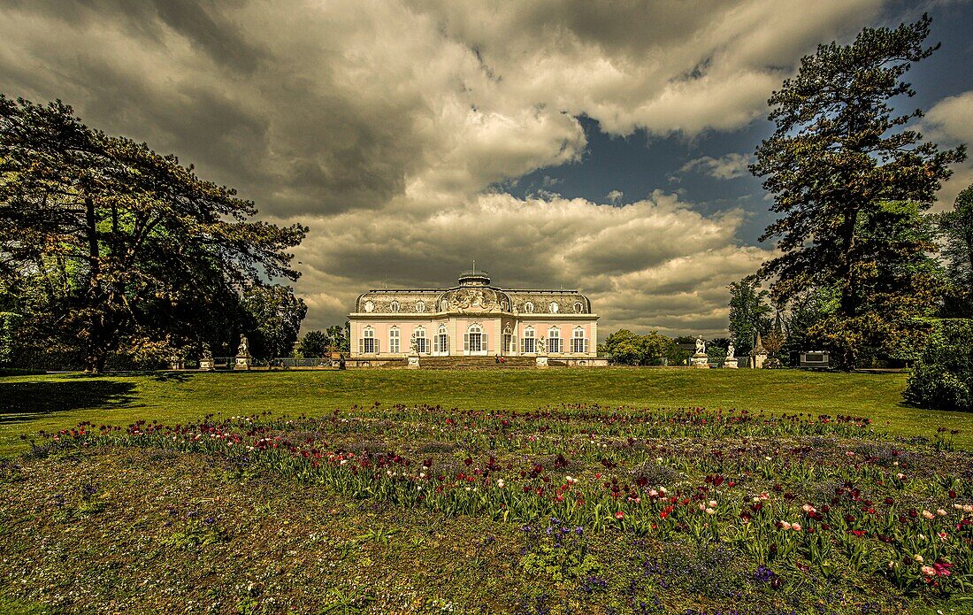 Blick über ein Tulpenfeld auf Schloss Benrath, Düsseldorf, NRW, Deutschland