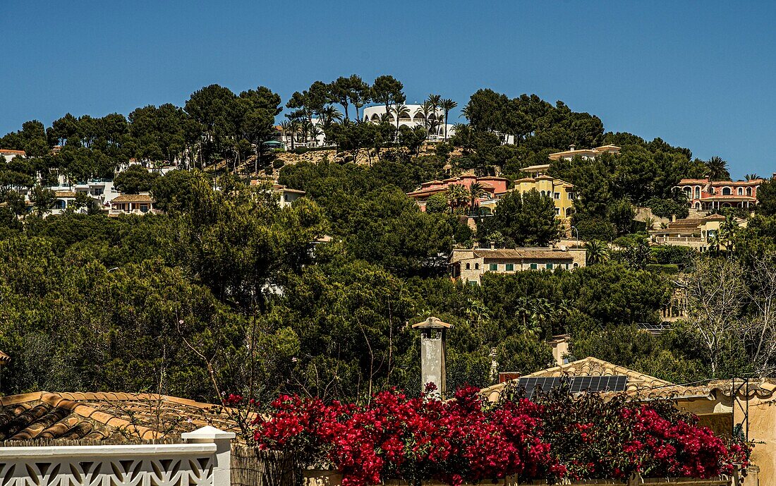 Blick auf Villen am Küstenhang an der Costa de la Calma, Santa Ponca, Santa Ponsa, Mallorca, Spanien