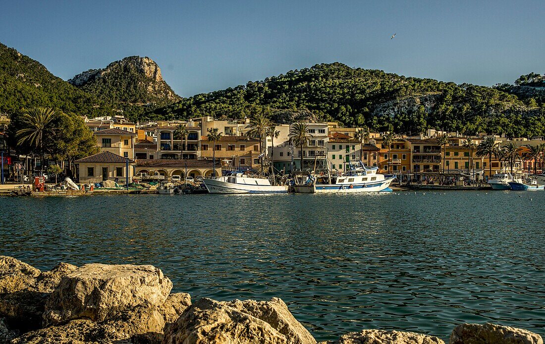 Blick auf Fischkutter an der Seepromenade in Port d´Andratx, bergiges Küstenland im Hintergrund, Mallorca, Spanien