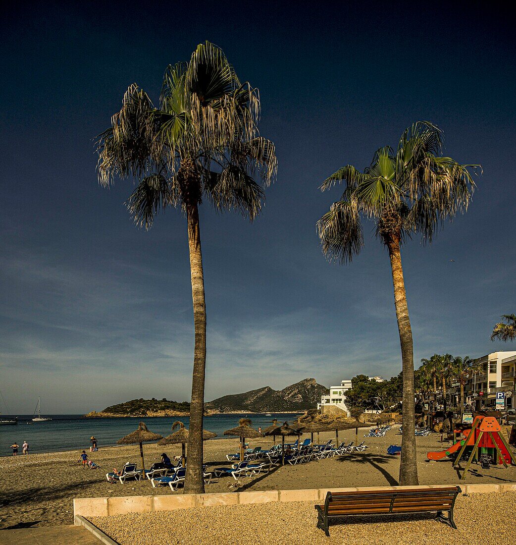  Sun loungers and parasols on the beach of Sant Elm, view of the bay and the island of Sa Dragonera, Mallorca, Spain 